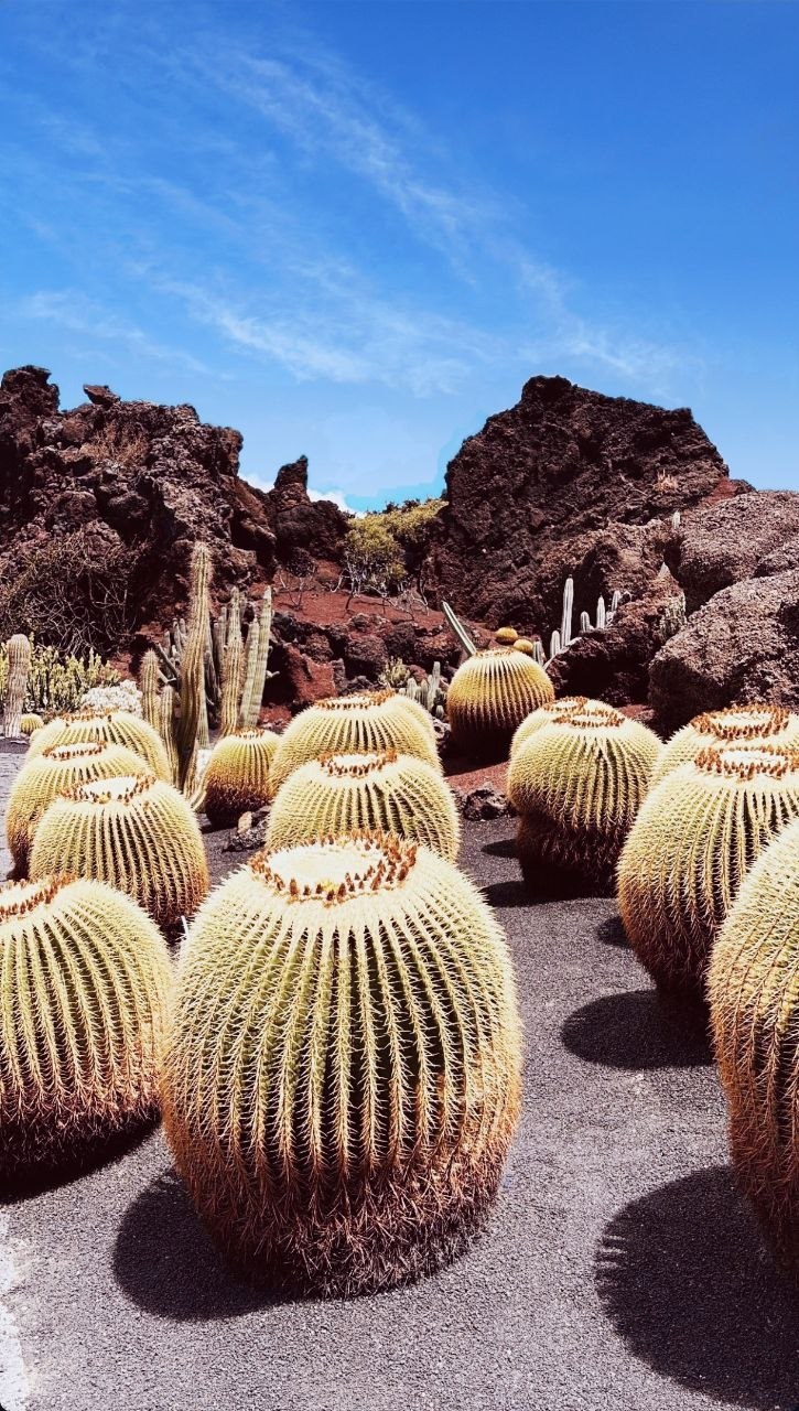 Carte de Lanzarote dépliée sur un mur volcanique blanc, zones et hébergements visibles (Photo by Zinah Insignia on Unsplash)
